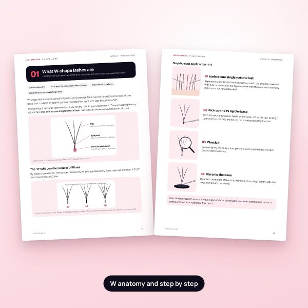 W-Shape guide: anatomy and step by step W-Shape guide pages: W anatomy and step-by-step application